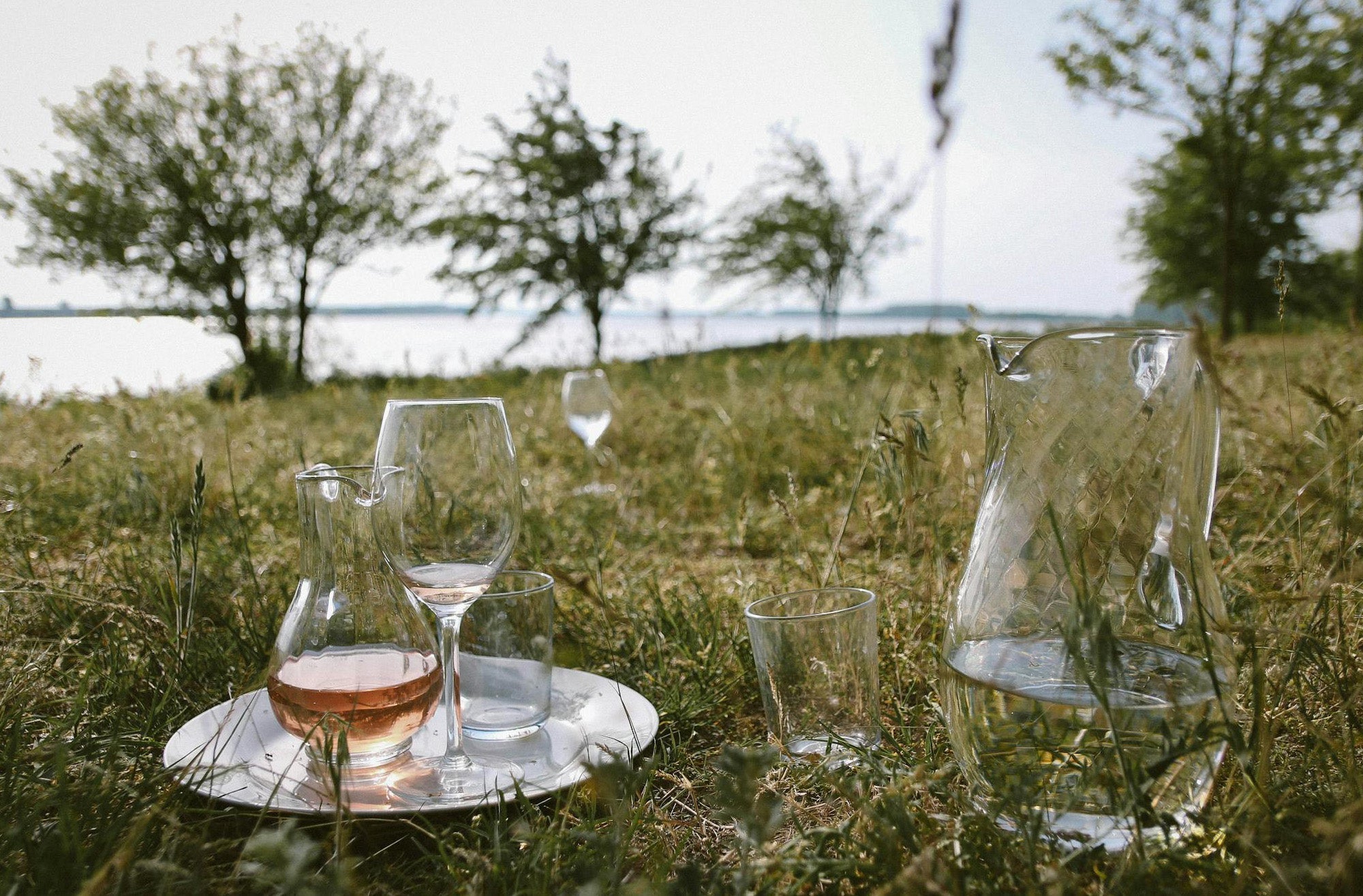 Sustainable Alcohol Brands
