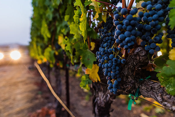 Silver Oak Napa Valley 2018