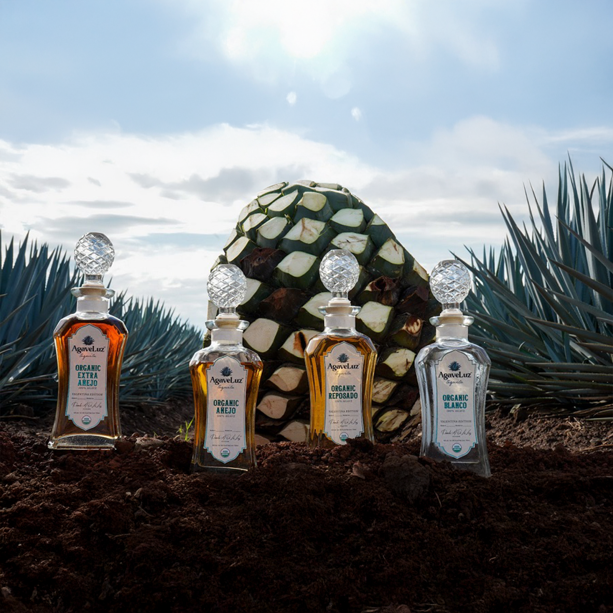 Agaveluz Organic Valentina Edition Añejo Tequila 700ml