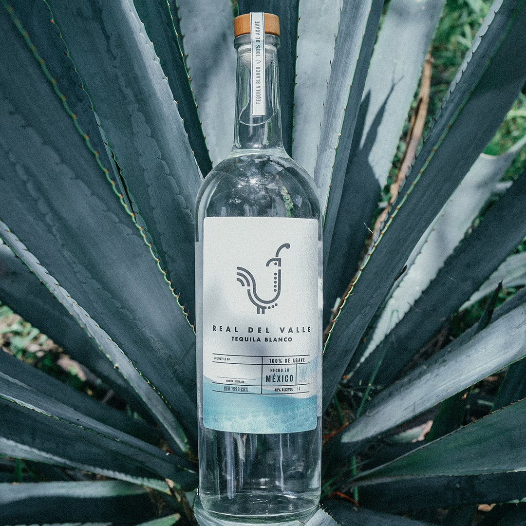 Real Del Valle Blanco Tequila bottle placed on agave plant leaves, showcasing its crystalline appearance and natural setting.