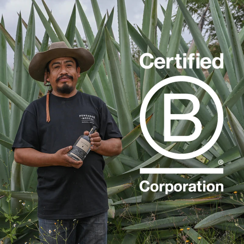 El Camino Del Pensador Joven Espadín Mezcal
