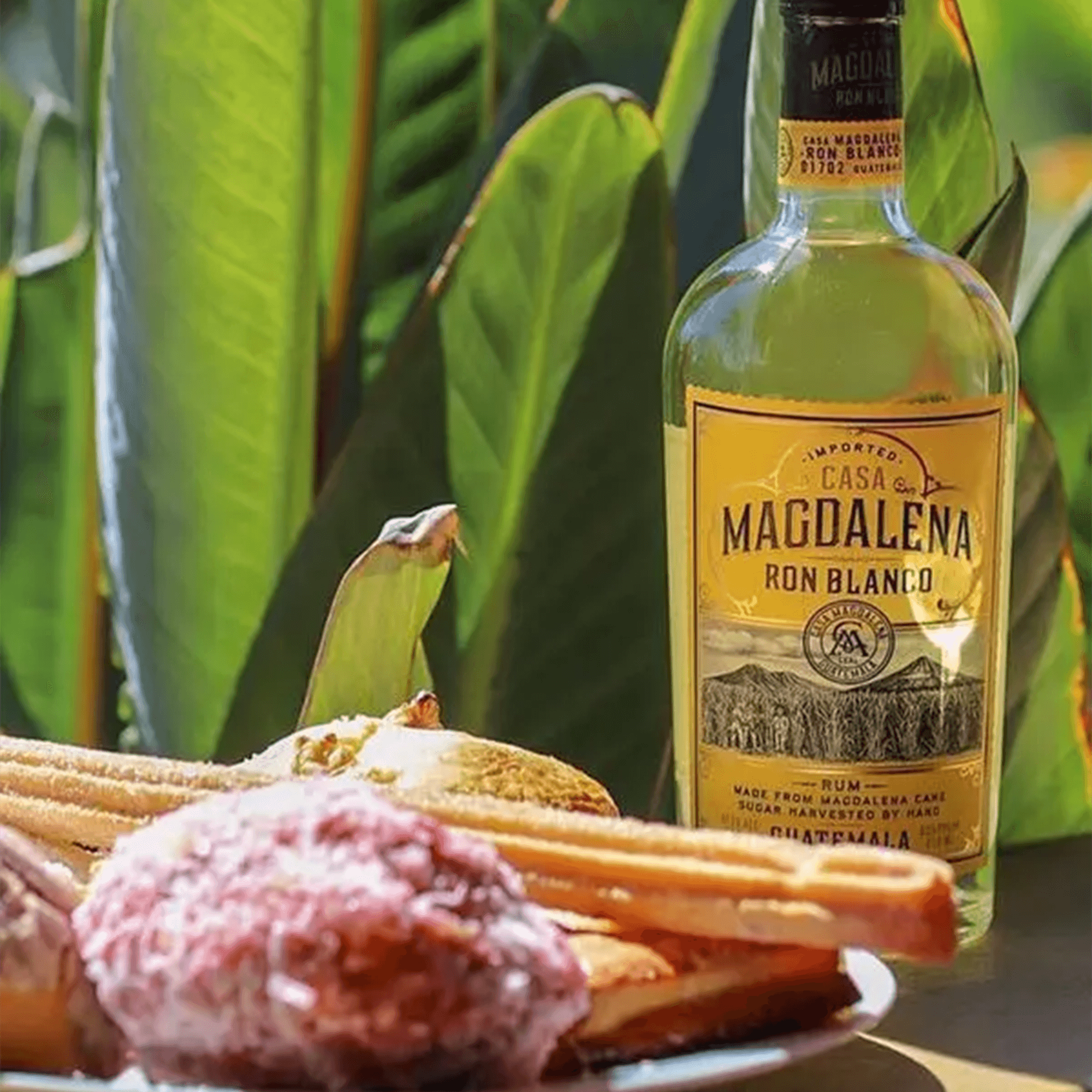 Casa Magdalena Ron Blanco Rum bottle next to traditional Guatemalan snacks, with lush green foliage in the background.