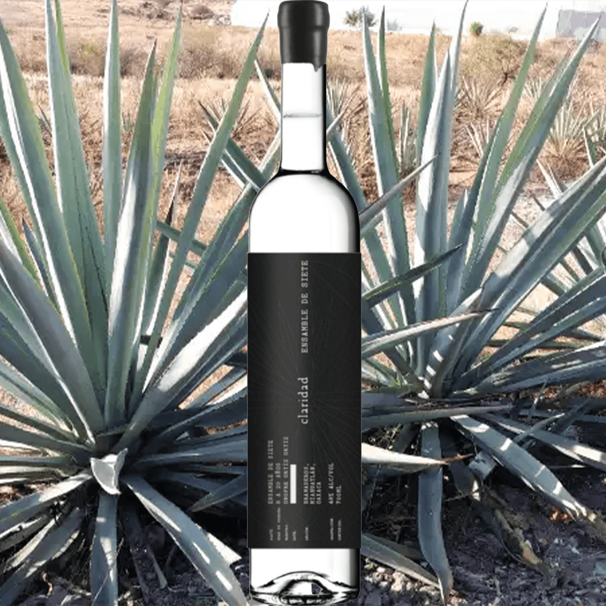 Claridad Ensamble De Siete Mezcal 700ml bottle in front of agave plants, showcasing its artisanal design.