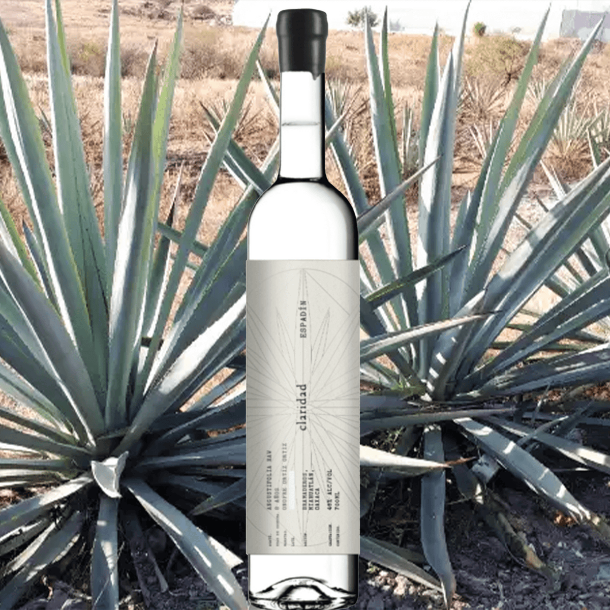 Bottle of Claridad Espadin Mezcal 700ml surrounded by agave plants in a natural setting.