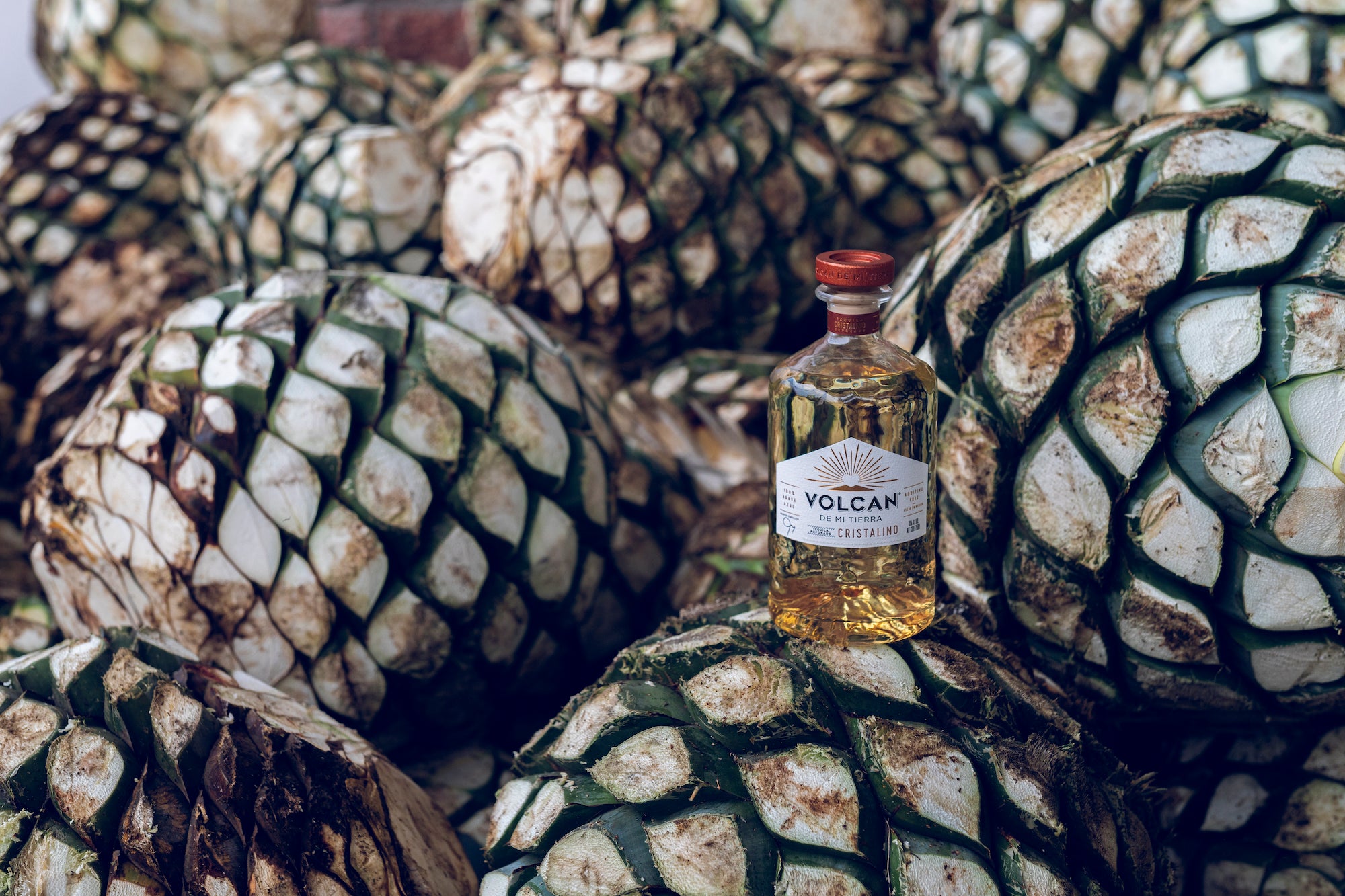 Volcán De Mi Tierra Cristalino Tequila