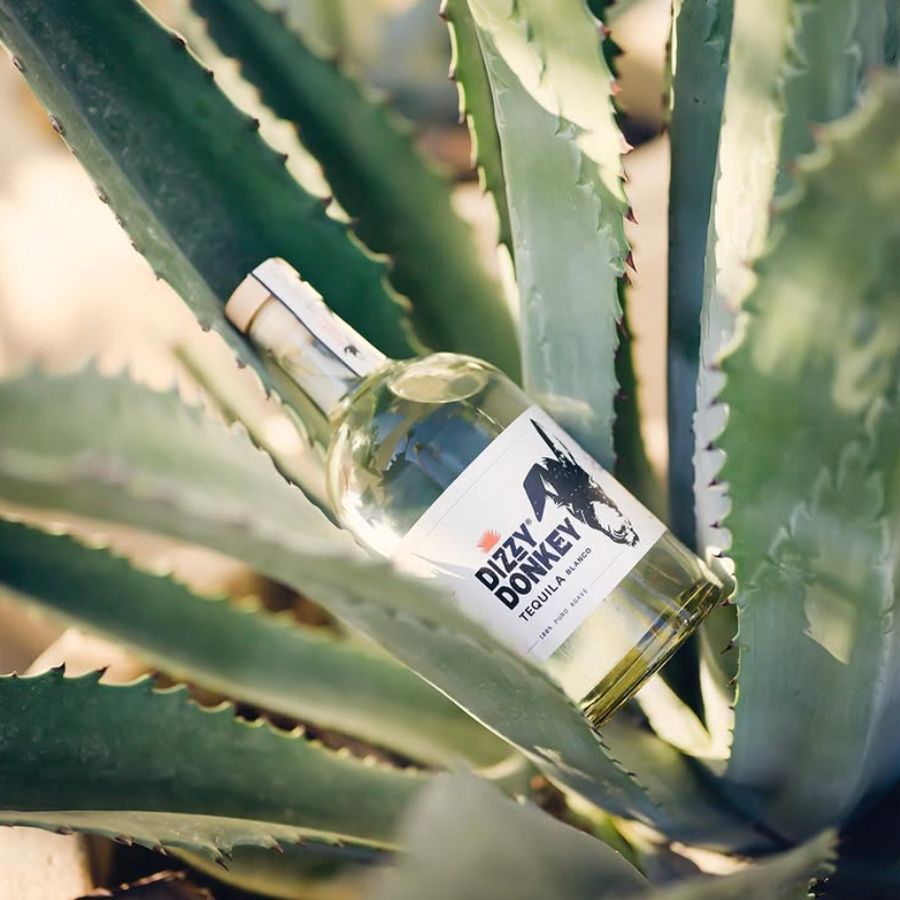 Dizzy Donkey Blanco Tequila