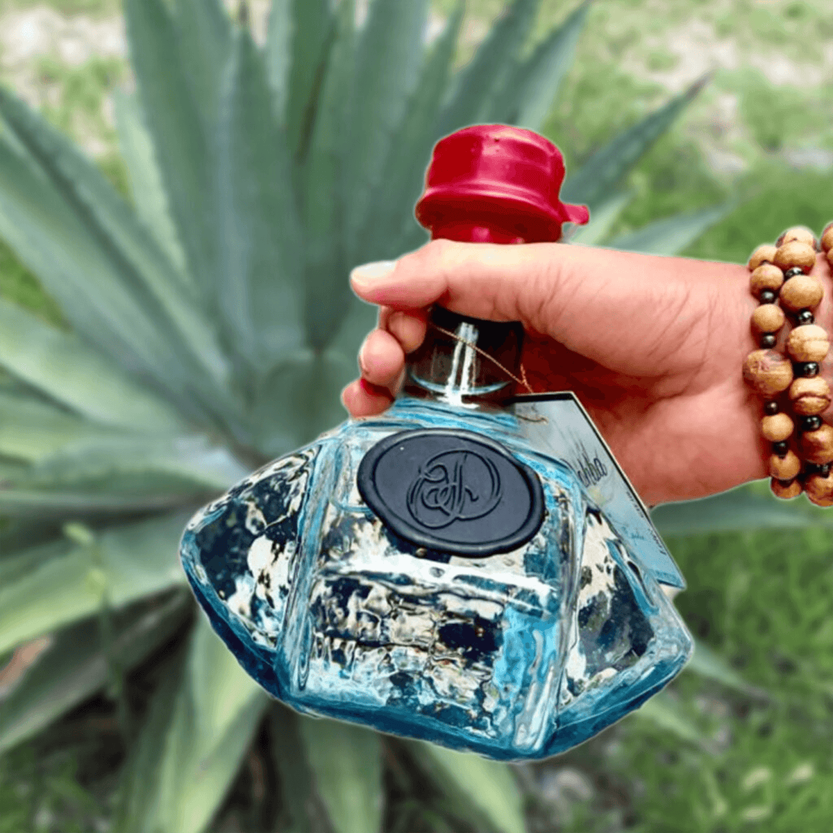 Person holding a handcrafted Dohba Mexicano Mezcal bottle against an agave plant backdrop.