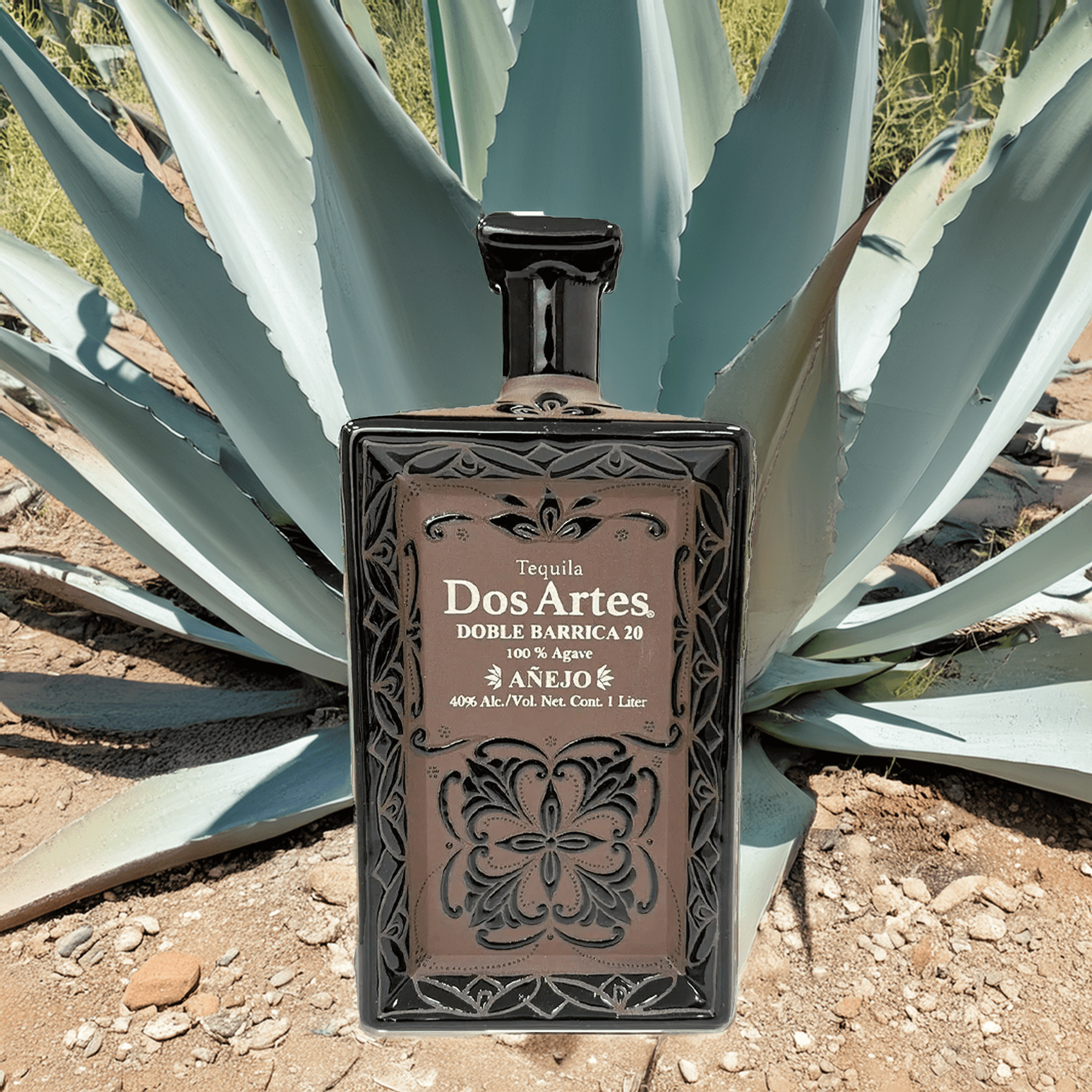 Dos Artes Doble Barrica 20 Añejo tequila bottle in front of agave plant, showcasing craftsmanship and luxury.