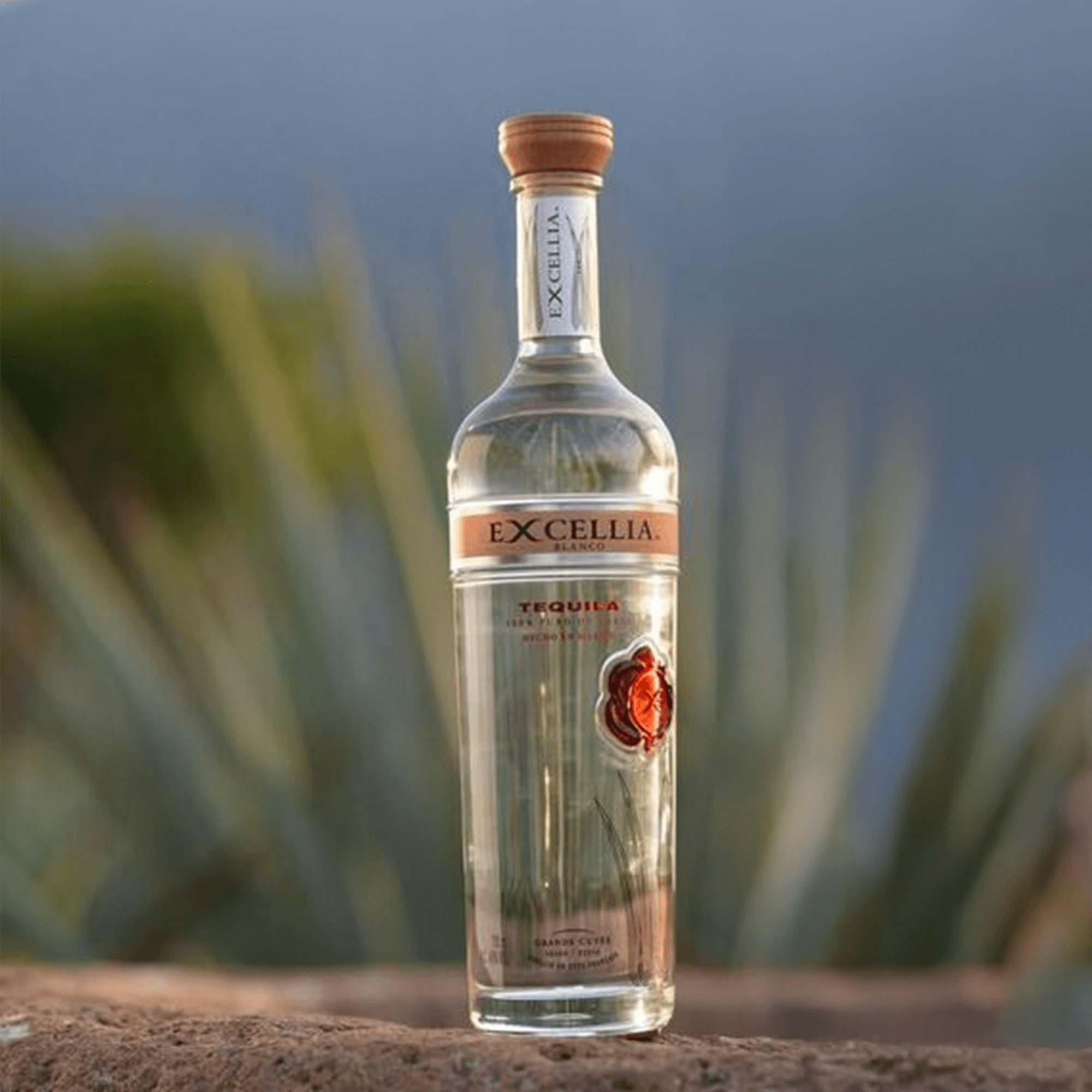Excellia Blanco Tequila bottle with a clear pale golden hue against a natural backdrop.