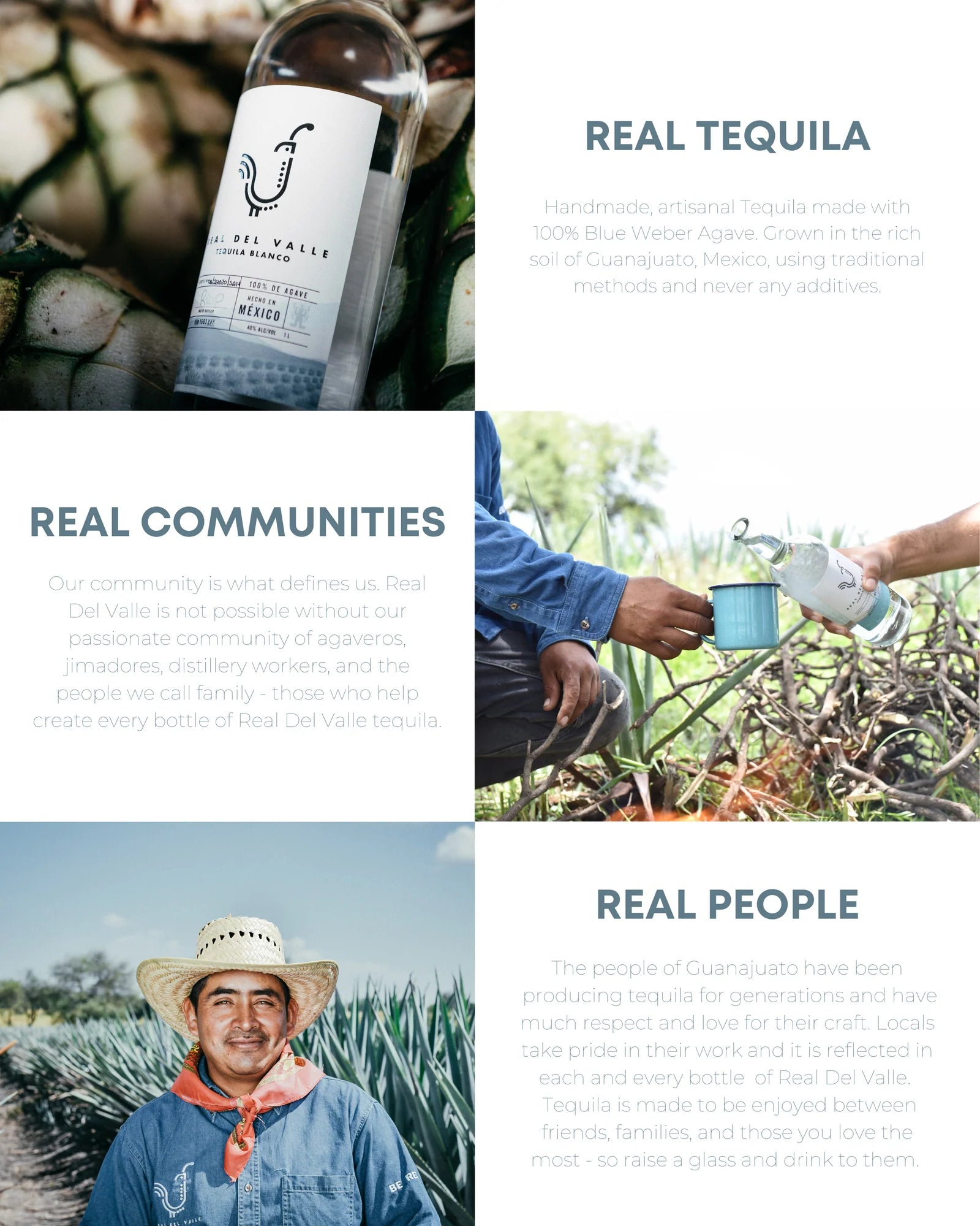 Real Del Valle Blanco Tequila bottle and scenes of traditional agave harvesting in Mexico.