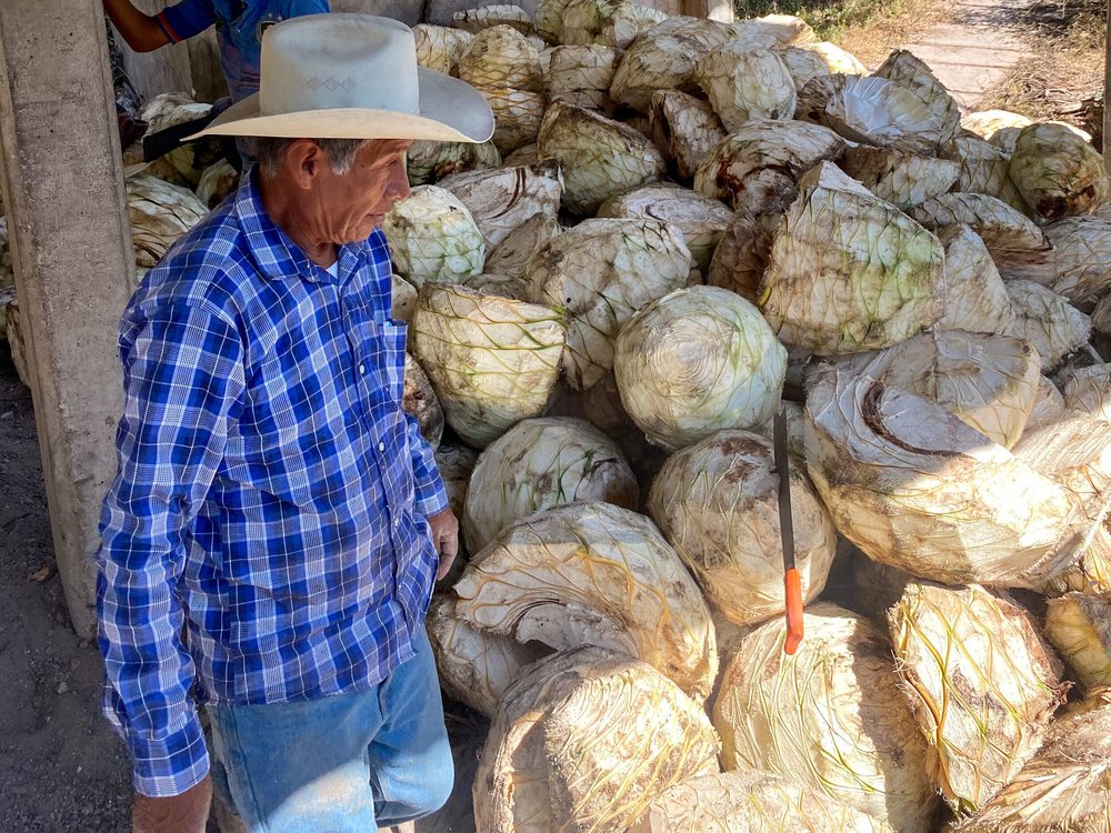 Mal Bien Espadín Refugio Calzada Hernández