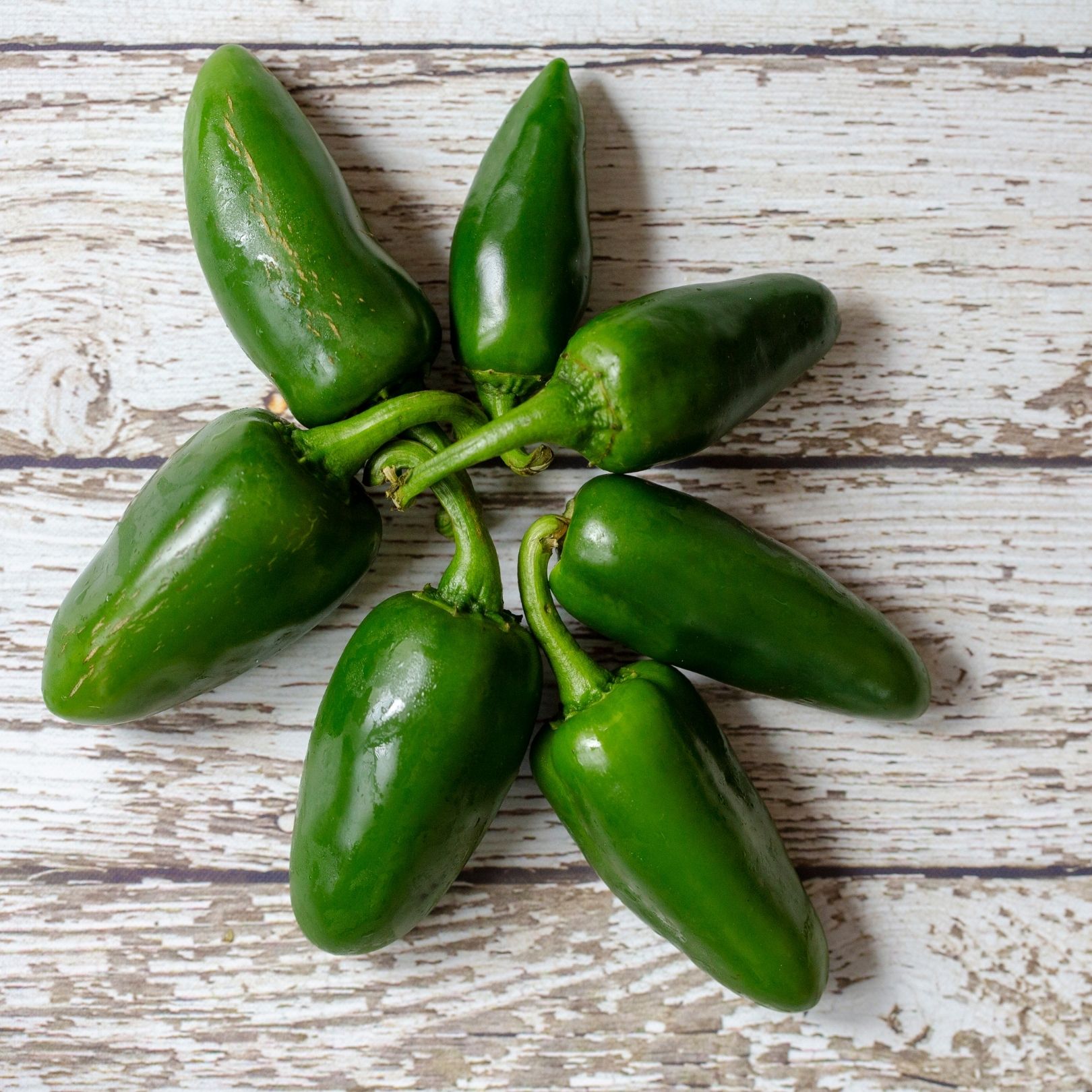 Bird Dog Jalapeno Honey Kentucky Whiskey