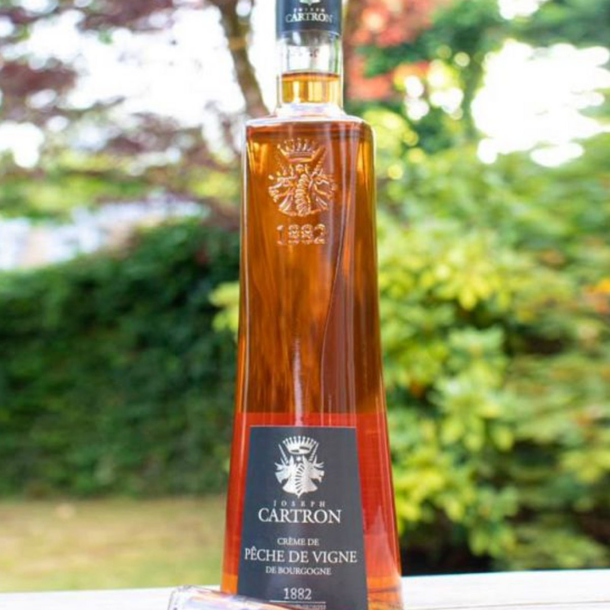 Joseph Cartron Creme De Peche De Vigne