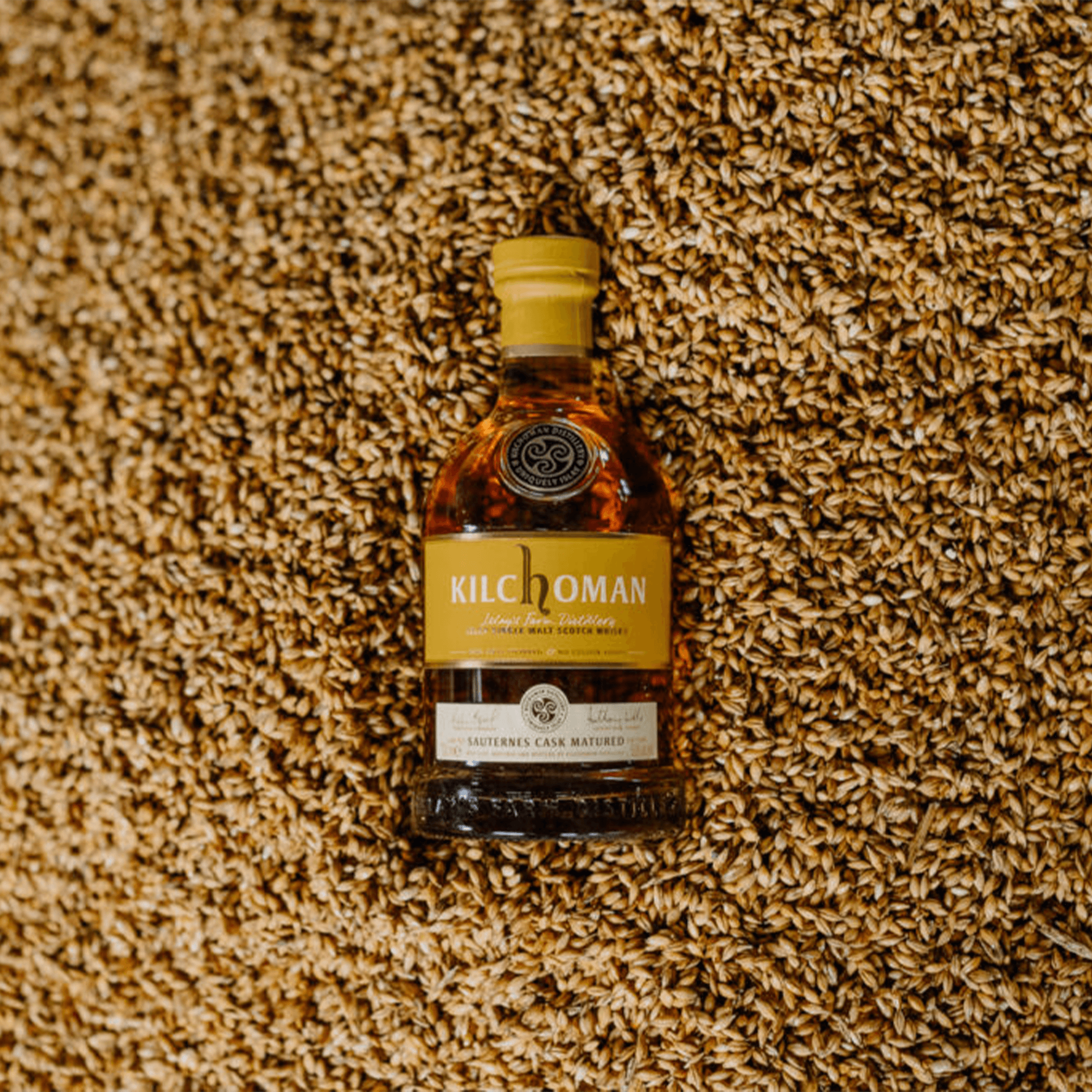 Kilchoman Sauternes Cask Matured 2024 Whisky bottle on a background of barley grains.