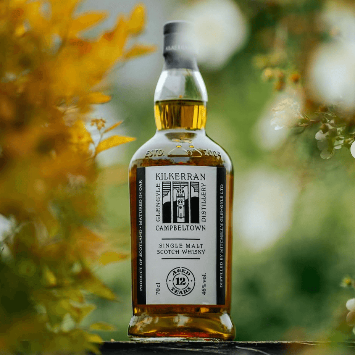 Kilkerran 12 Year Single Malt Scotch Whisky bottle among autumn foliage, showcasing its golden color and elegant label.