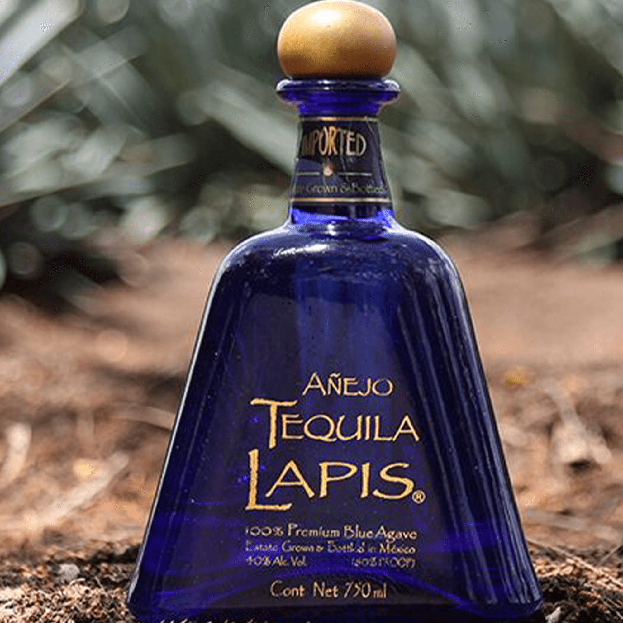 Lapis Añejo Tequila bottle, crafted from premium blue agave, showcasing its elegant design and rich character.