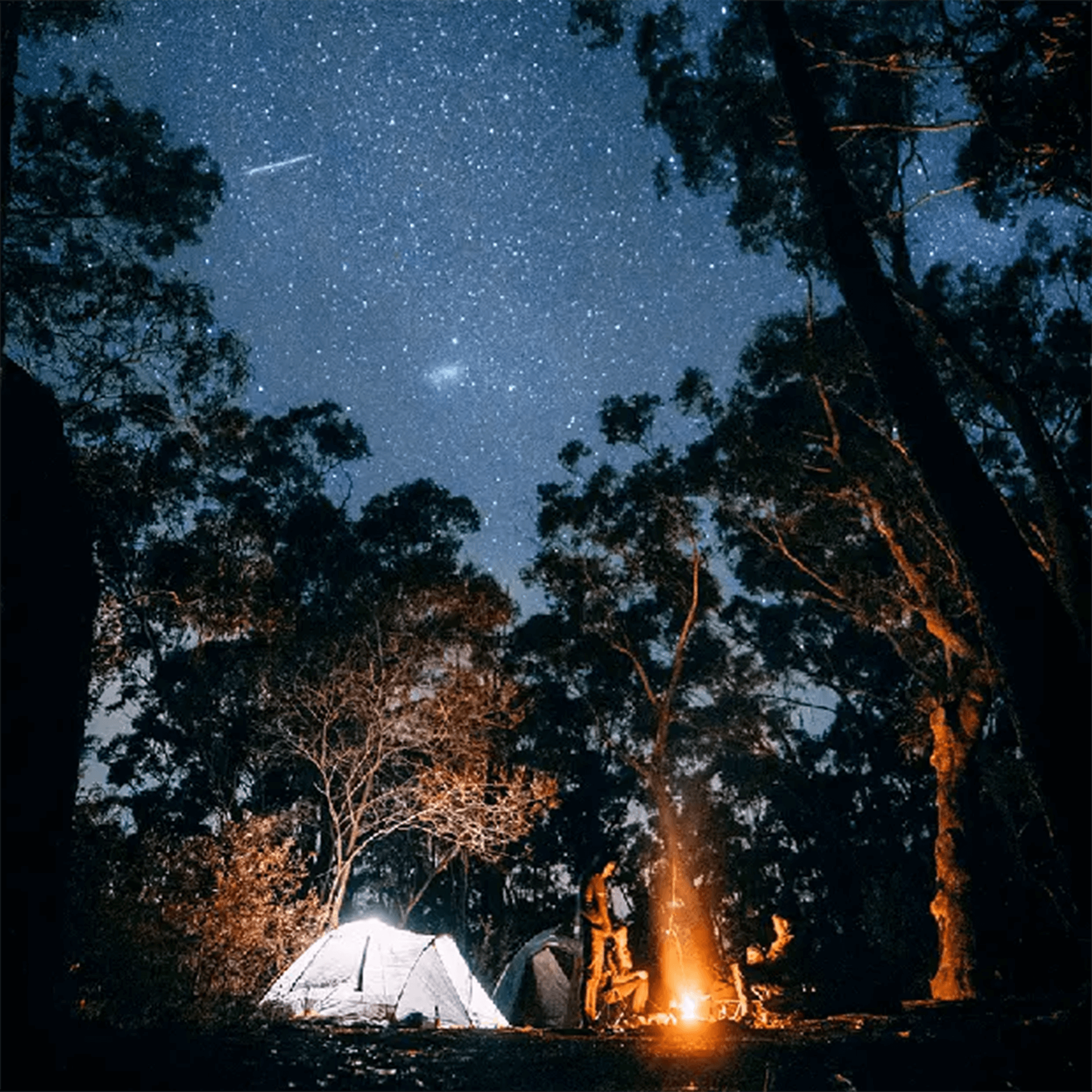 Camping under a starry sky with tents and a campfire, perfect for enjoying Mash & Mallow S'mores Whiskey.