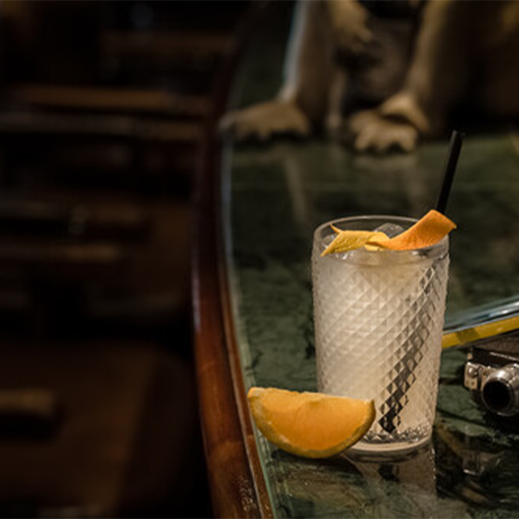 A refreshing drink with an orange slice on a bar counter, with a friendly dog in the background.