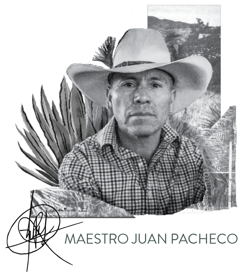 The Producer Arroqueno Mezcal