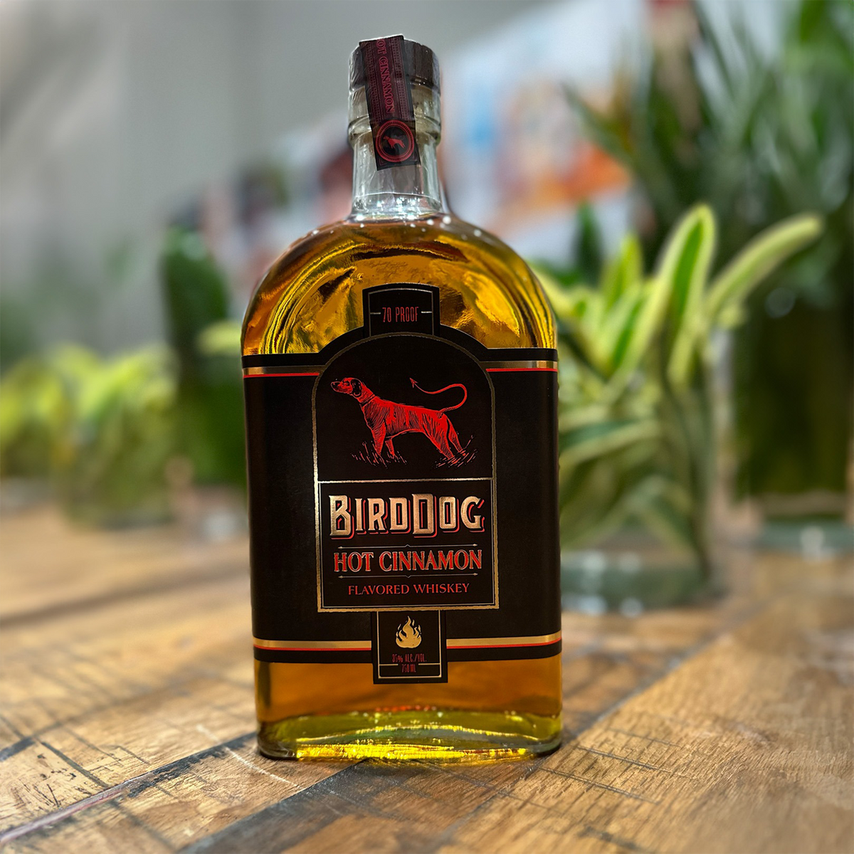 Bottle of Bird Dog Hot Cinnamon Flavored Whiskey on wooden table with green plants in the background.