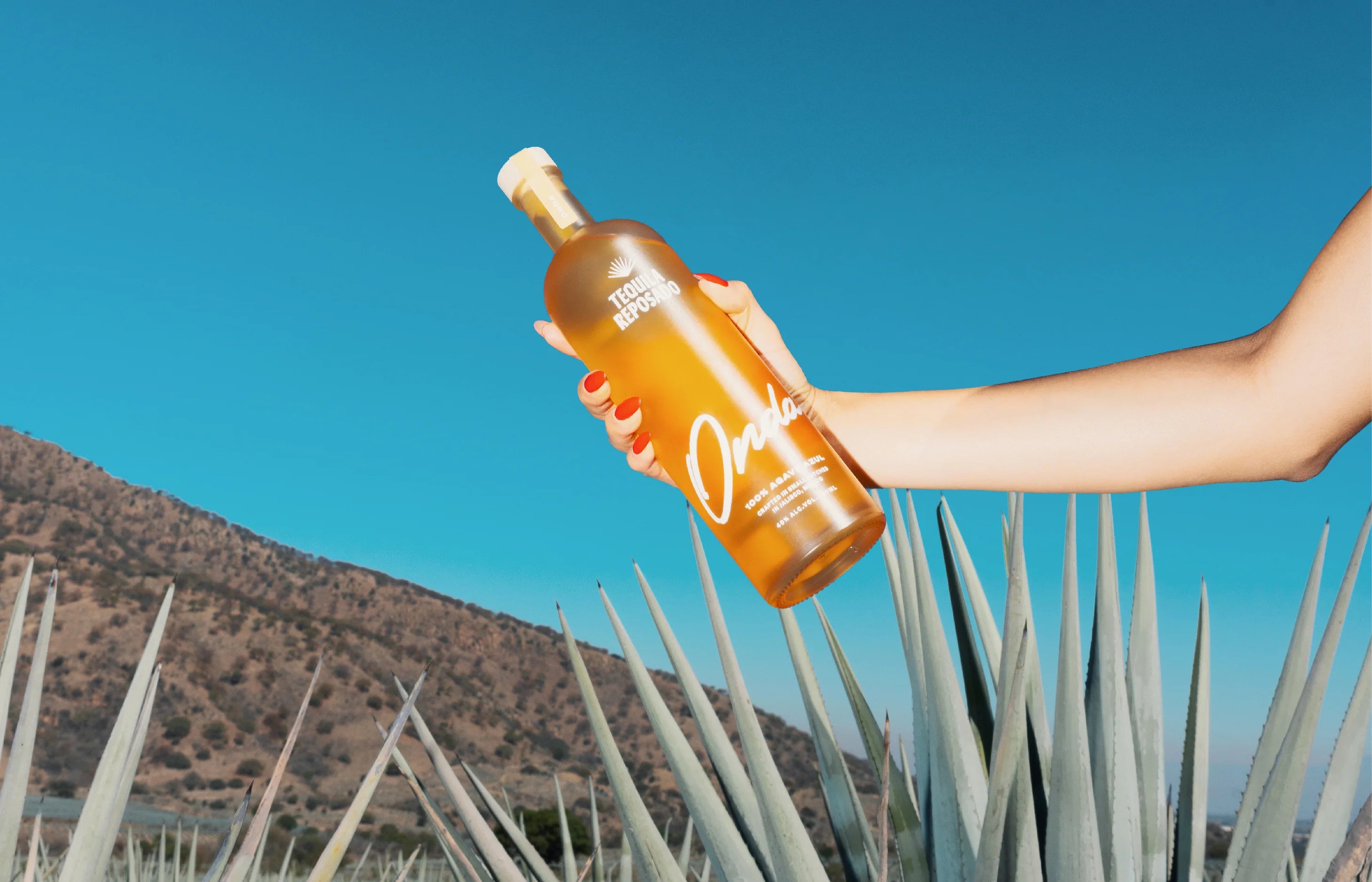 Bottle of Onda Reposado Tequila held amidst agave plants with a mountain backdrop under a clear blue sky.