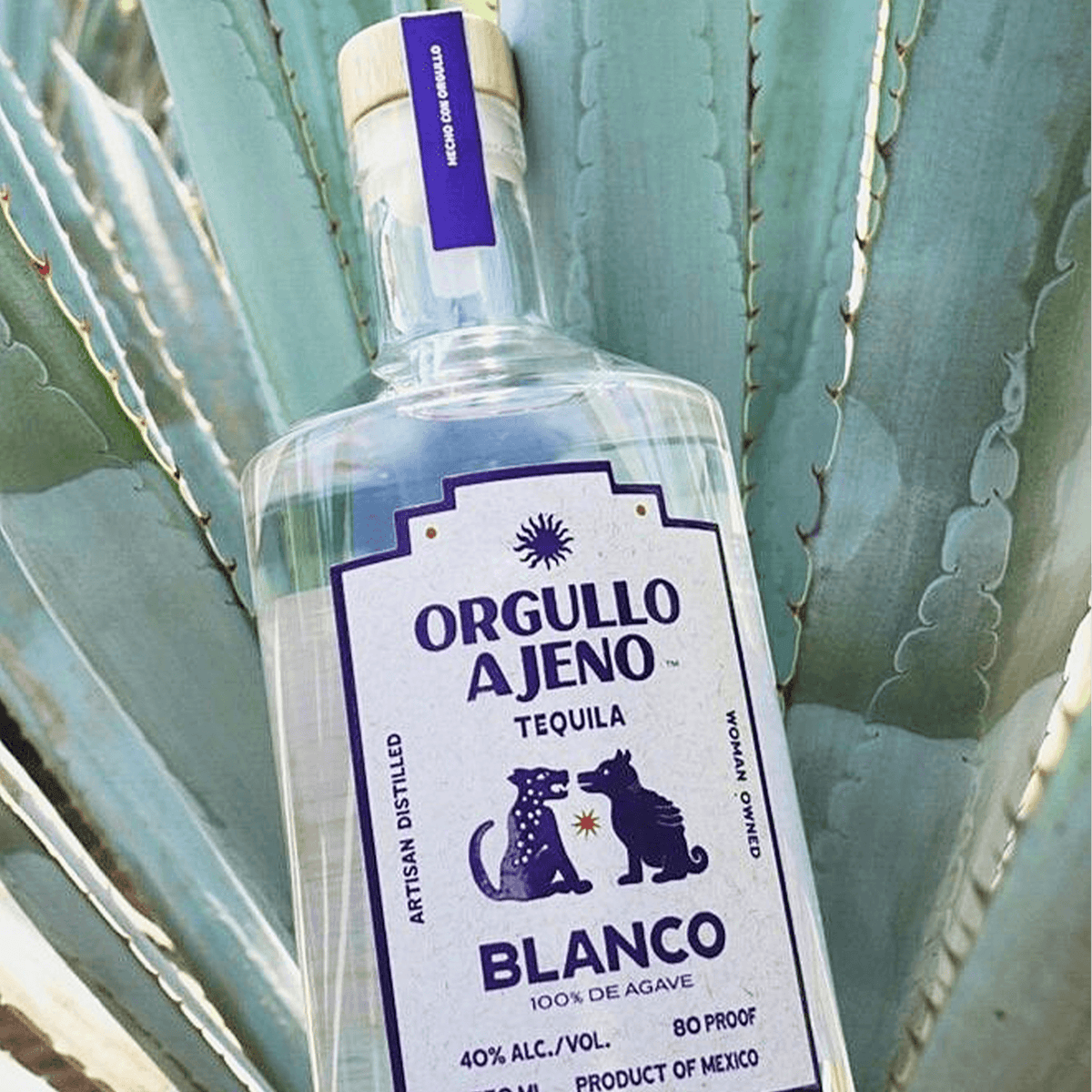 Orgullo Ajeno Blanco Tequila bottle against blue agave plant, showcasing artisan distilled 100% agave spirit.