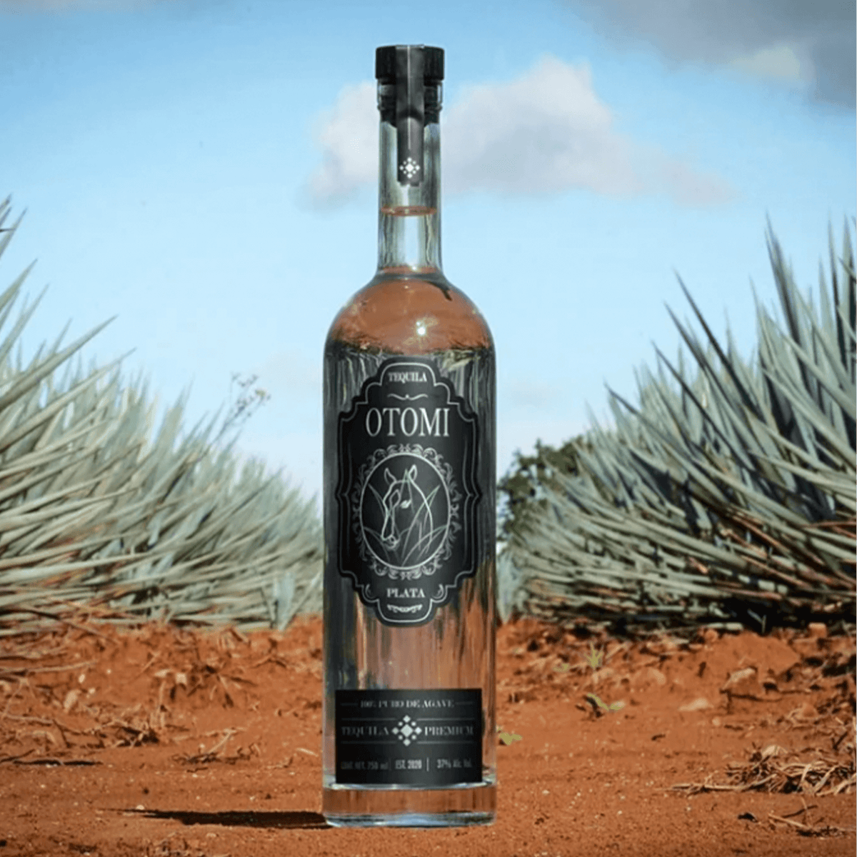 Bottle of Otomi Silver Tequila in an agave field, showcasing its clear design and heritage of Blue Weber agave.