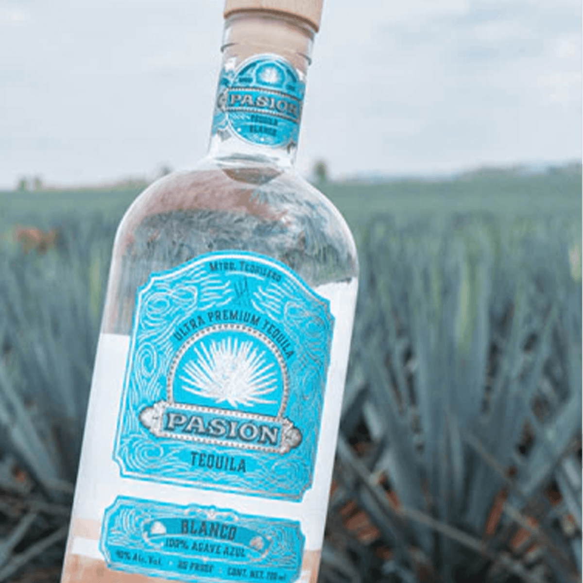 Pasión Tequila Blanco 700ml bottle in an agave field, showcasing its crystal-clear appearance and premium quality.