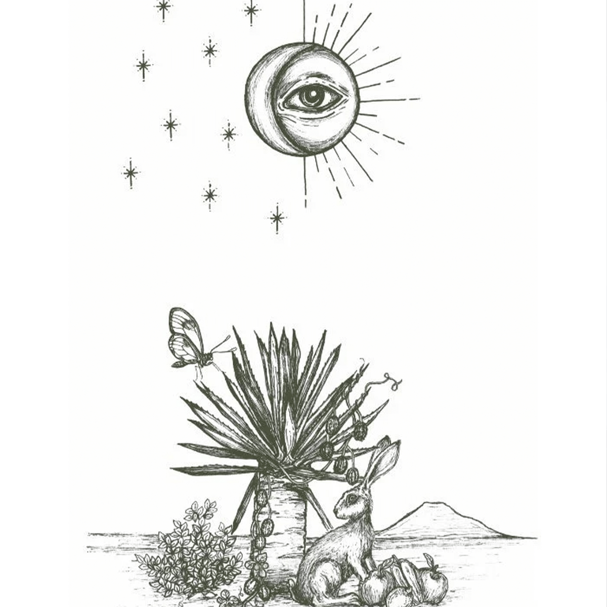 Artistic illustration featuring a moon, stars, agave plant, and a rabbit in a whimsical landscape.