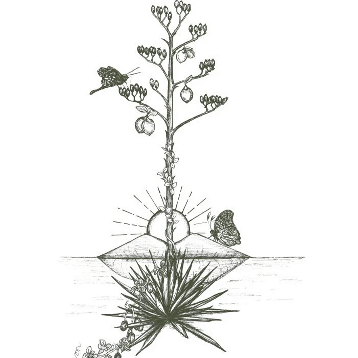 Illustration of an agave plant with butterflies and a sunlit background, symbolizing mezcal production.