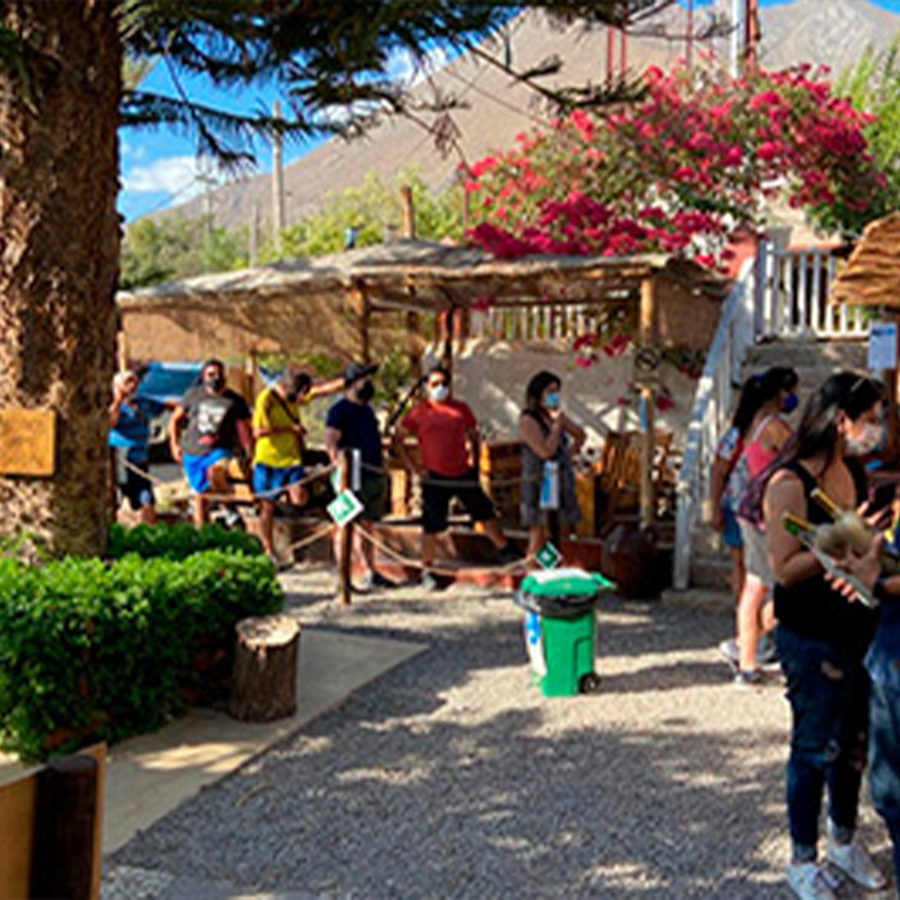 Pisco ABA