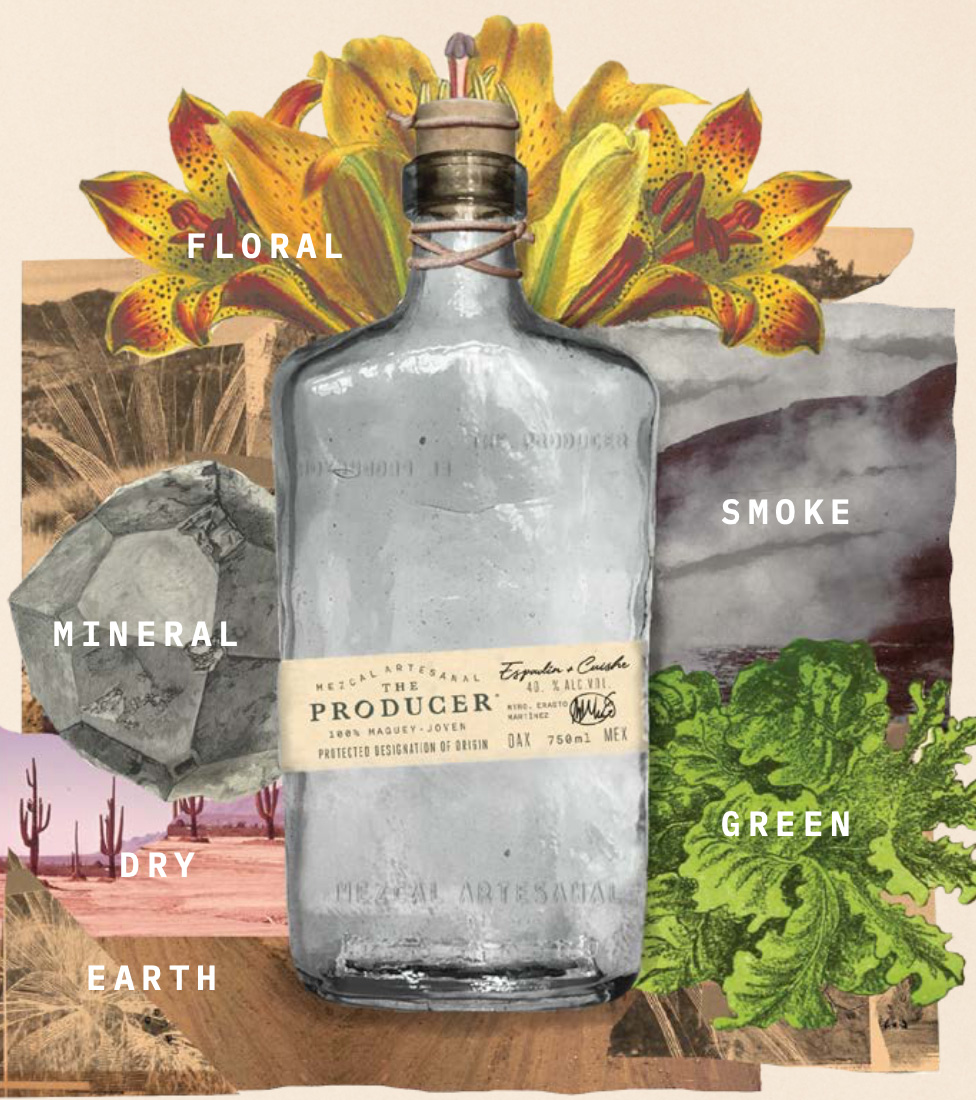 The Producer Ensamble (Espadín + Cuishe)