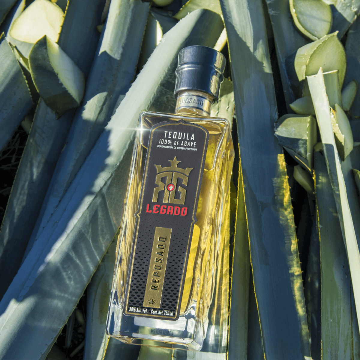 Bottle of RG Legado Reposado Tequila nestled among agave plants, showcasing its golden hue and elegant design.