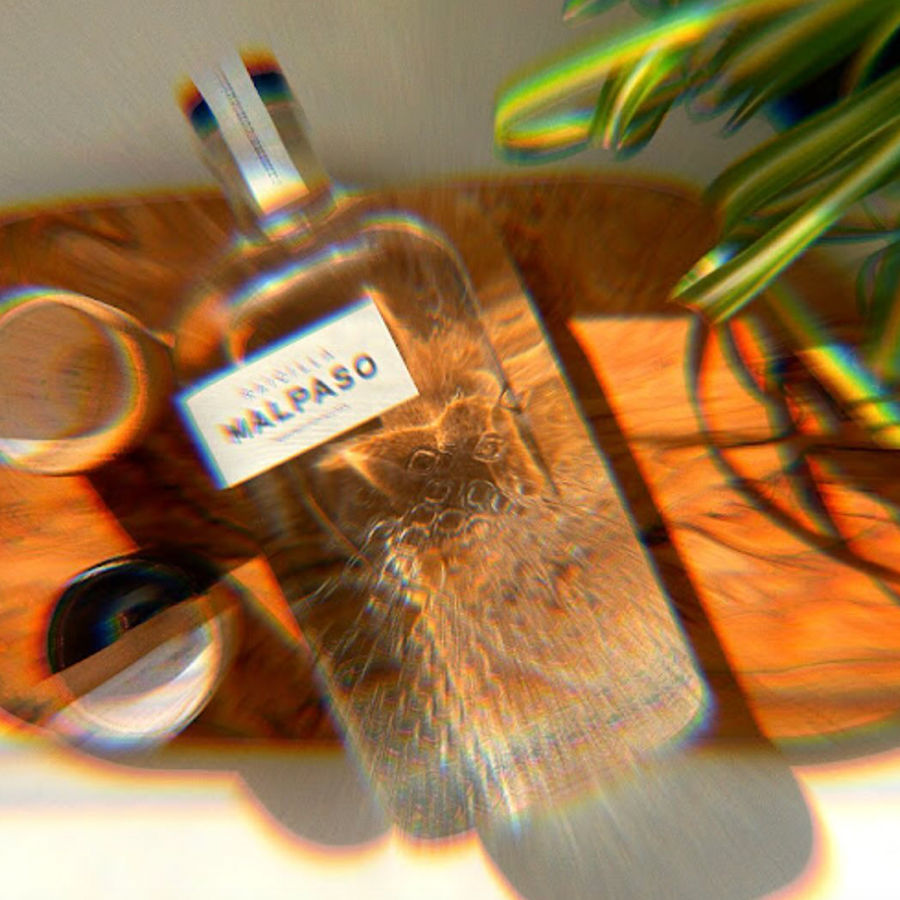 Raicilla Malpaso