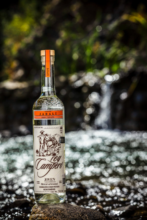 Rey Campero Jabalí Joven Mezcal