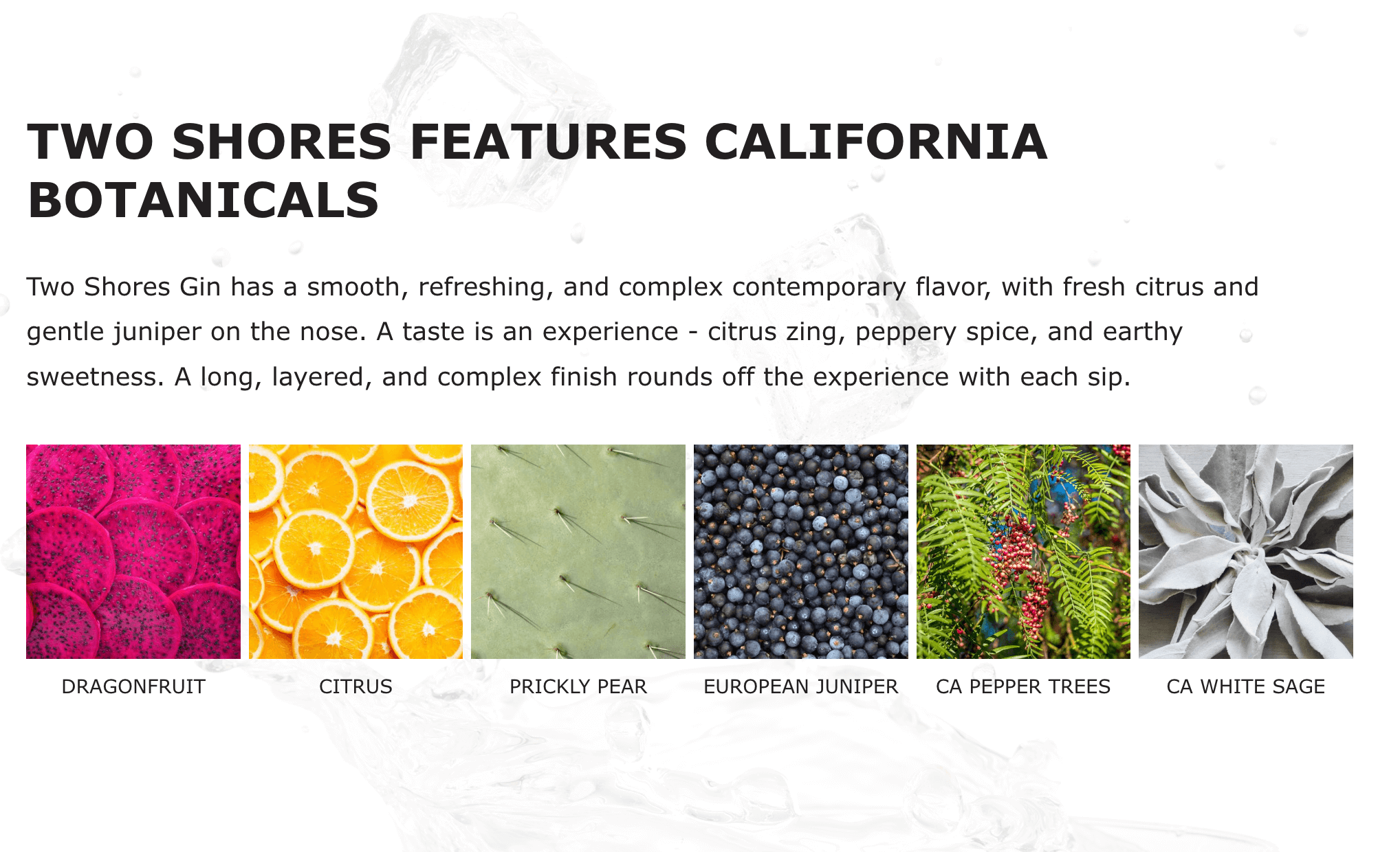 Image showcasing the California botanicals used in Two Shores Gin: dragon fruit, citrus, prickly pear, juniper, and sage.