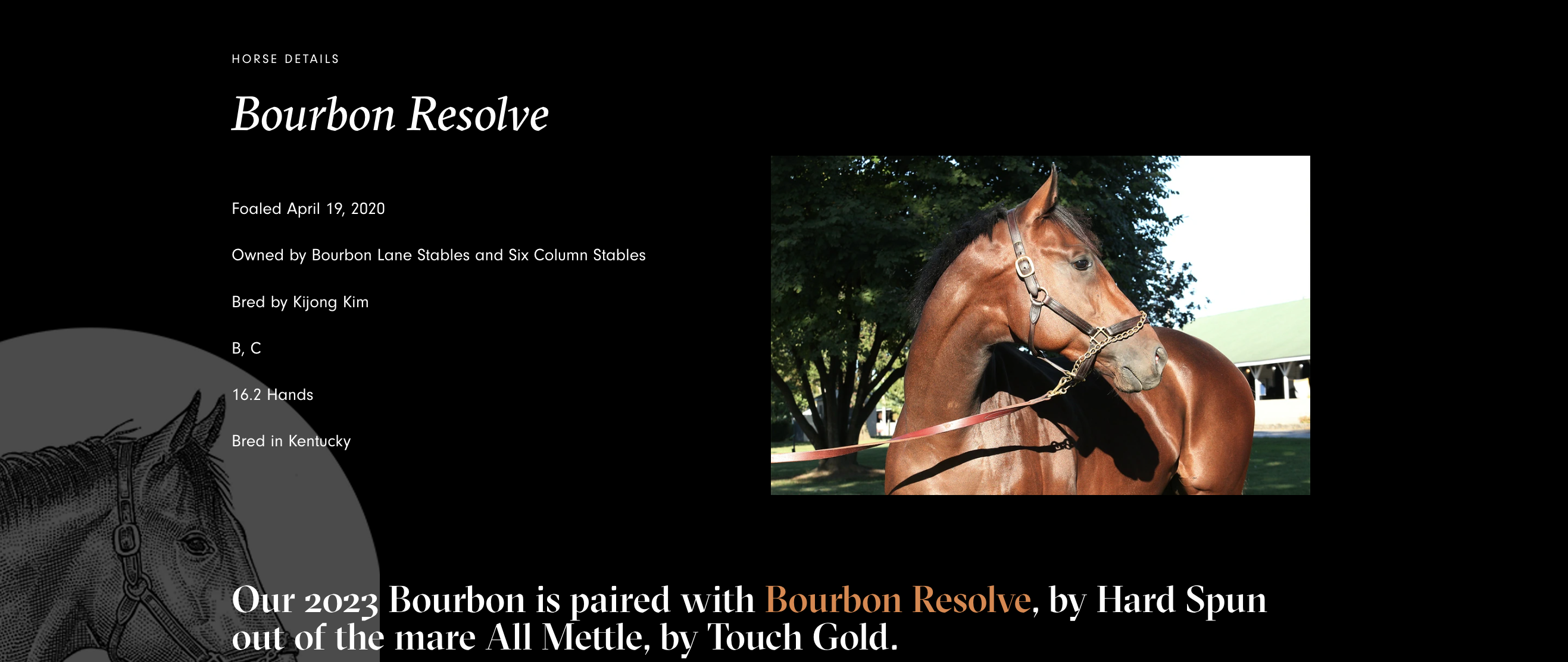 Pinhook Flagship Bourbon Resolve 2023 Kentucky Straight Bourbon