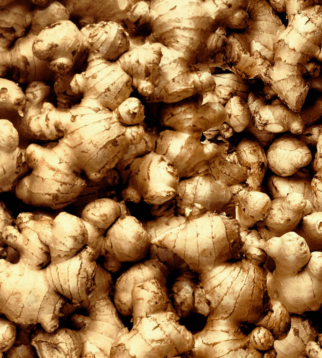 Fresh and organic ginger root close-up, showcasing its texture and unique shapes.