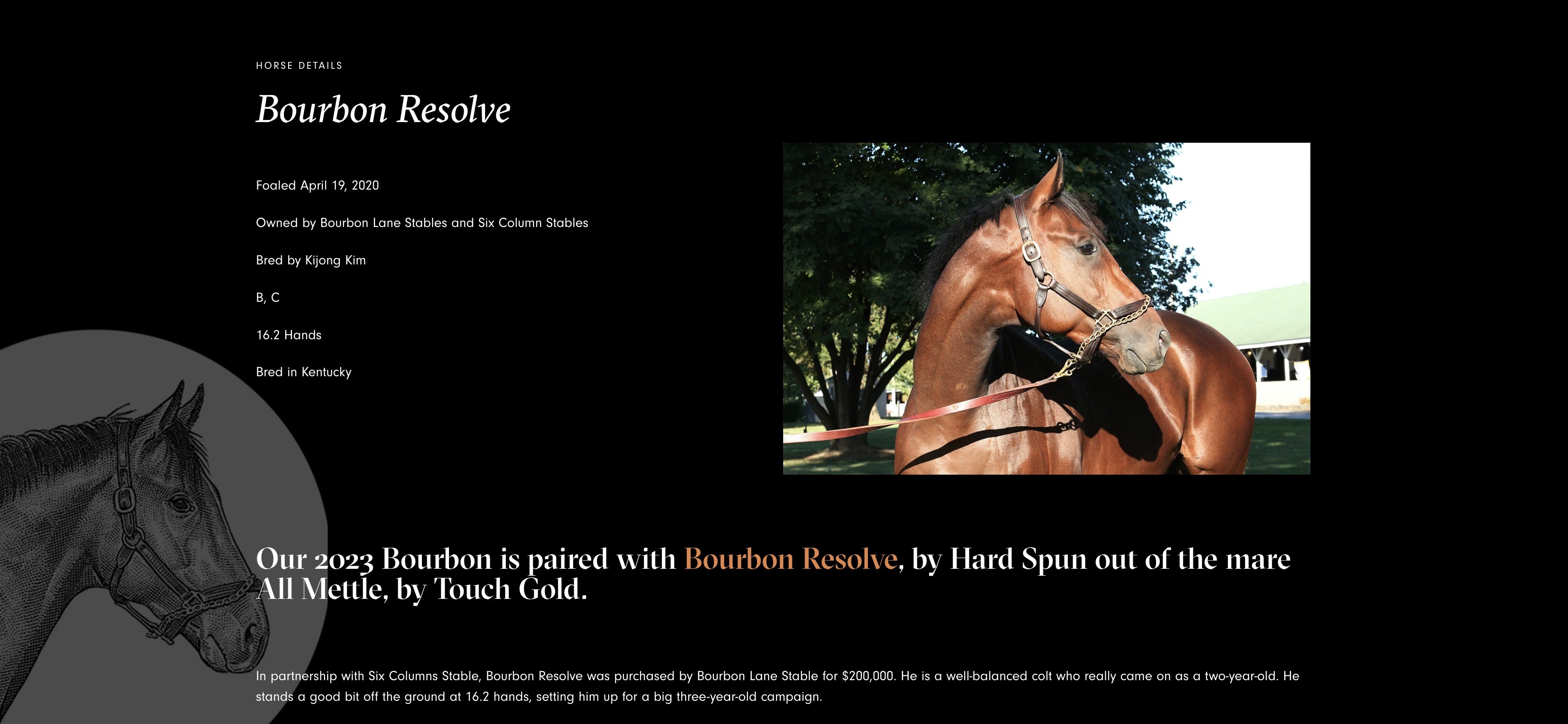 Pinhook 2023 Bourbon Resolve (Flagship Bourbon)