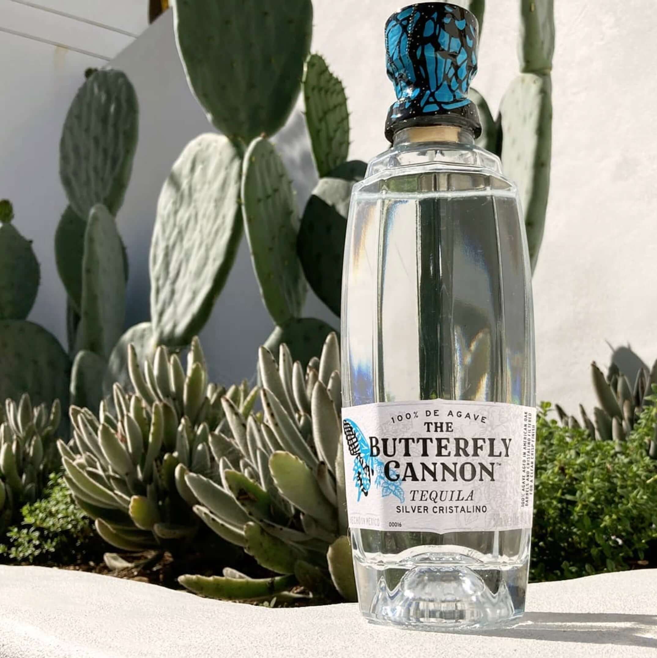 Bottle of The Butterfly Cannon Silver Cristalino tequila surrounded by cacti and succulents.