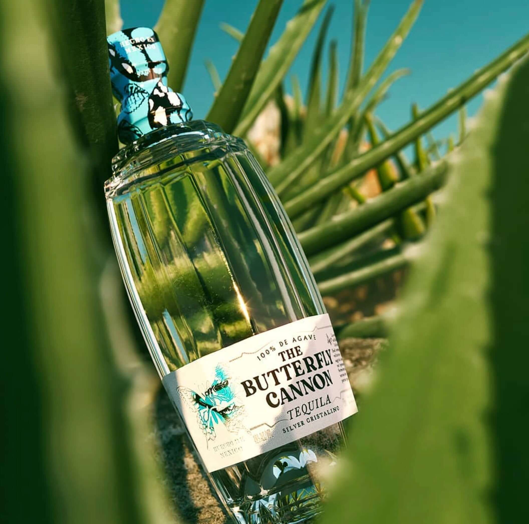 Butterfly Cannon Silver Cristalino tequila bottle surrounded by green agave plants, showcasing its clear, crisp appearance.