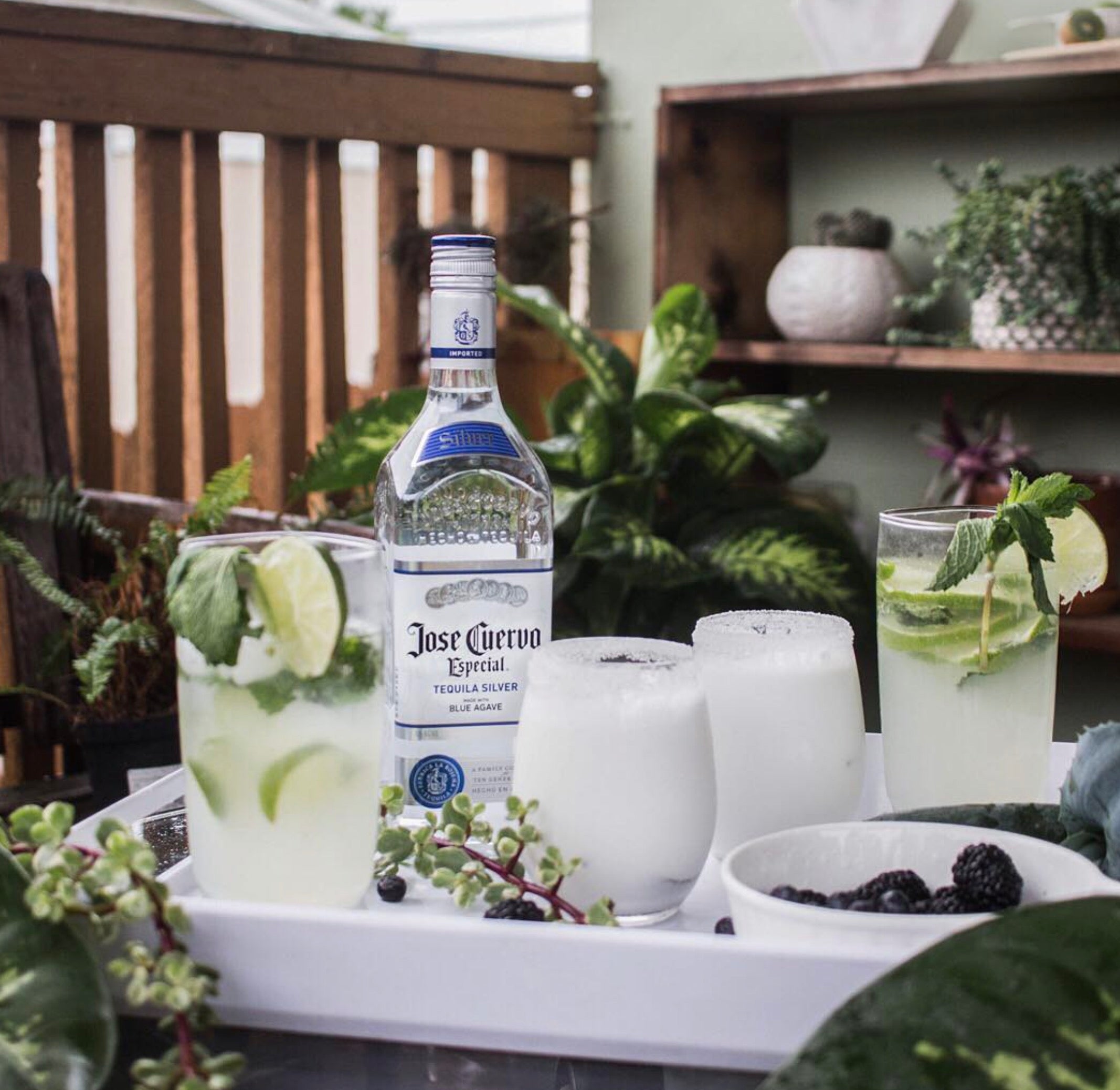 Jose Cuervo Especial Silver Tequila
