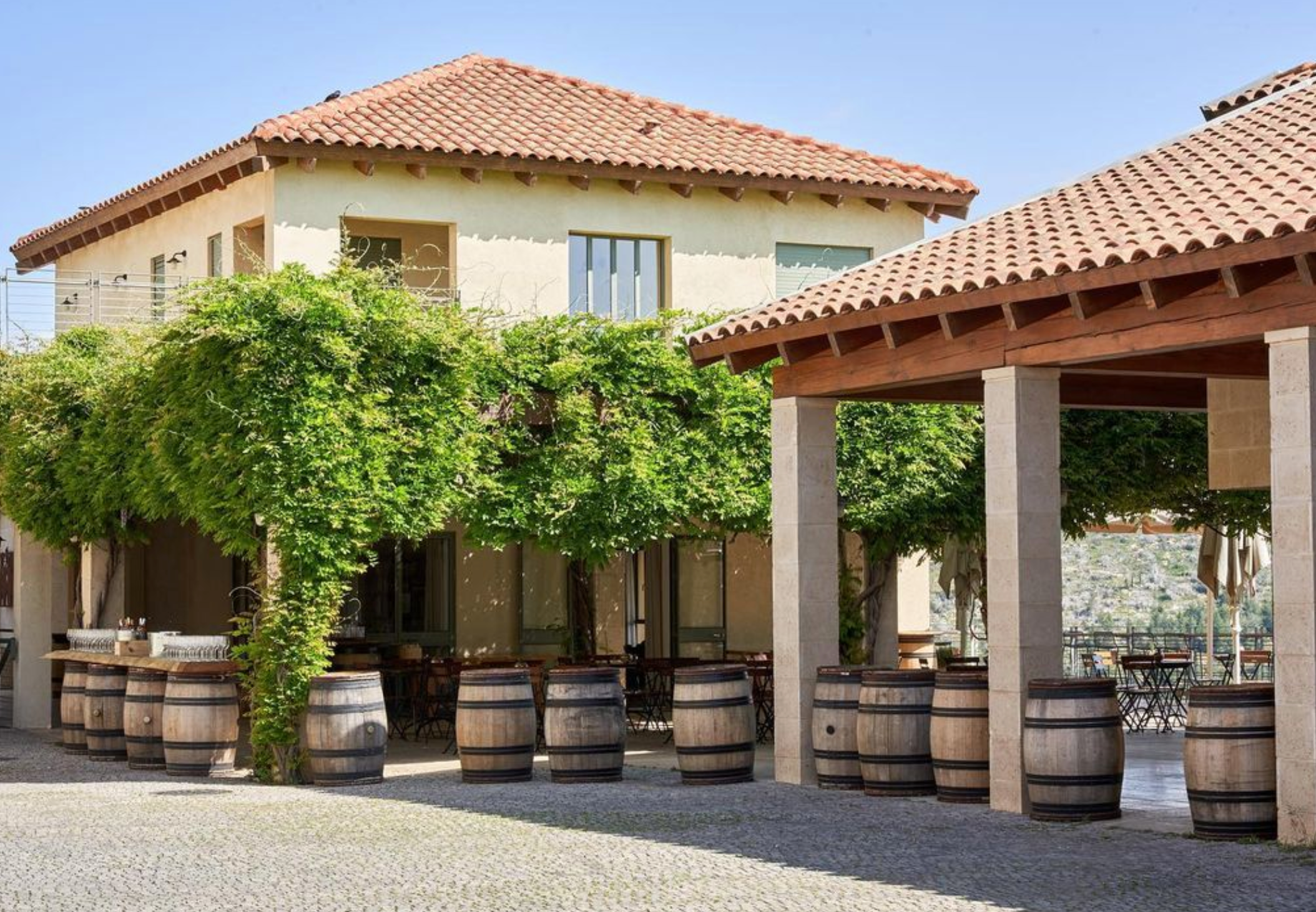 Domaine Du Castel Petit Castel Israel 2019