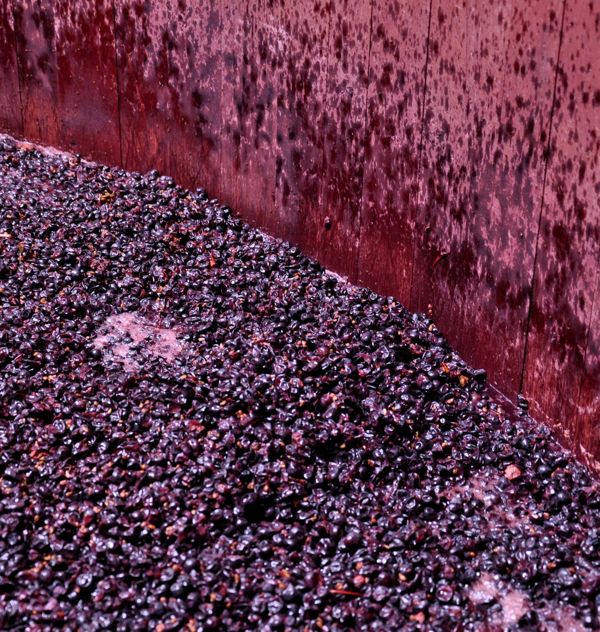 Louis Latour Aloxe-Corton Le Chaillots 2019