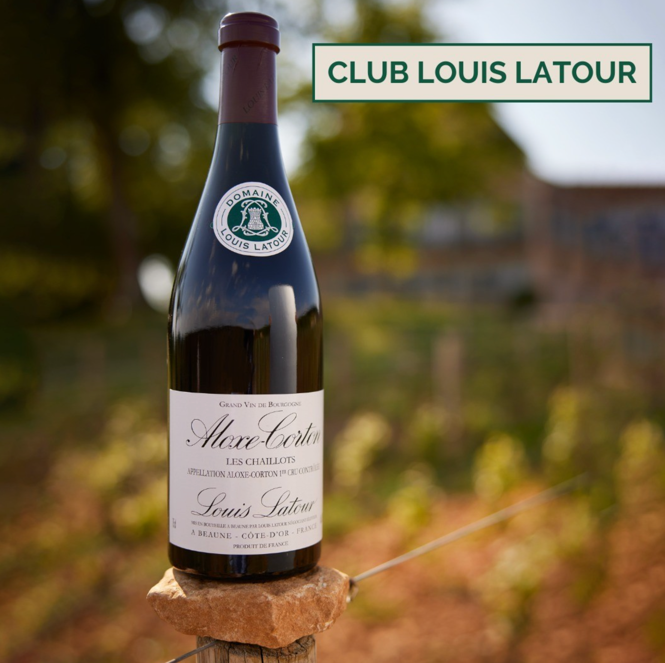 Louis Latour Aloxe-Corton Les Chaillots 2020