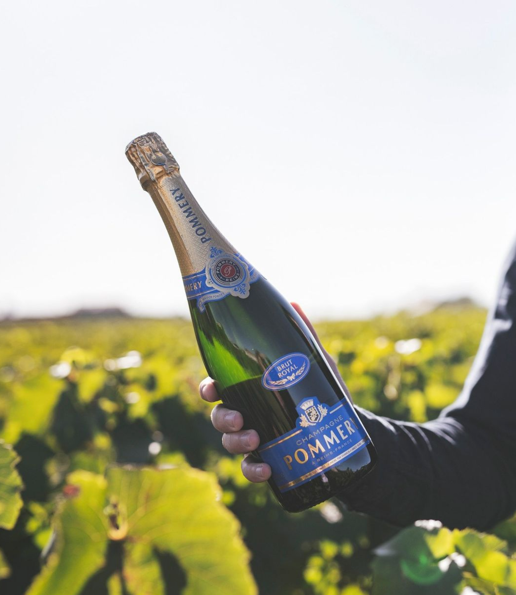 Pommery Brut Royal Champagne