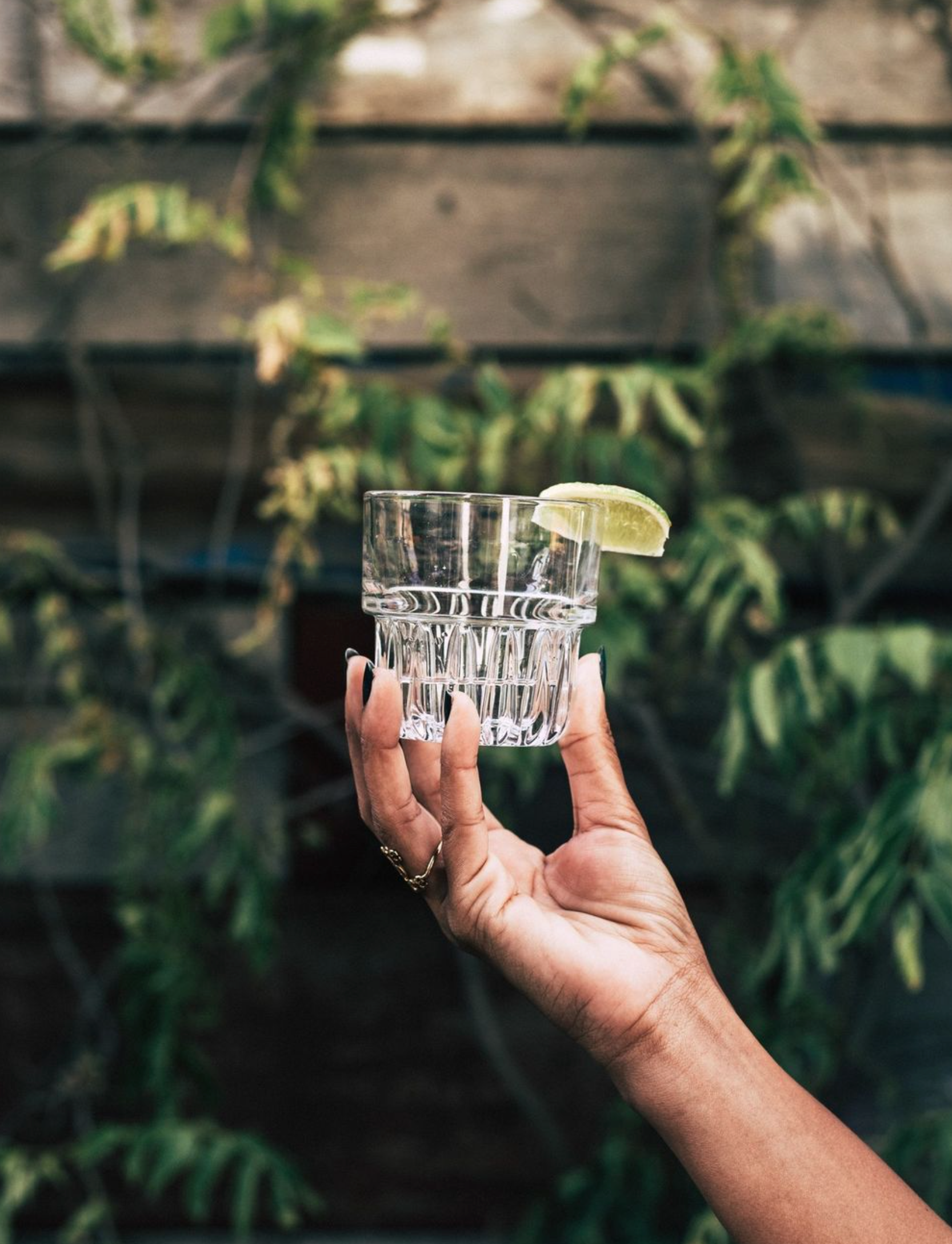 Hand holding a crystal glass with a lime wedge, set against a natural backdrop, perfect for enjoying Real Del Valle Blanco Tequila.