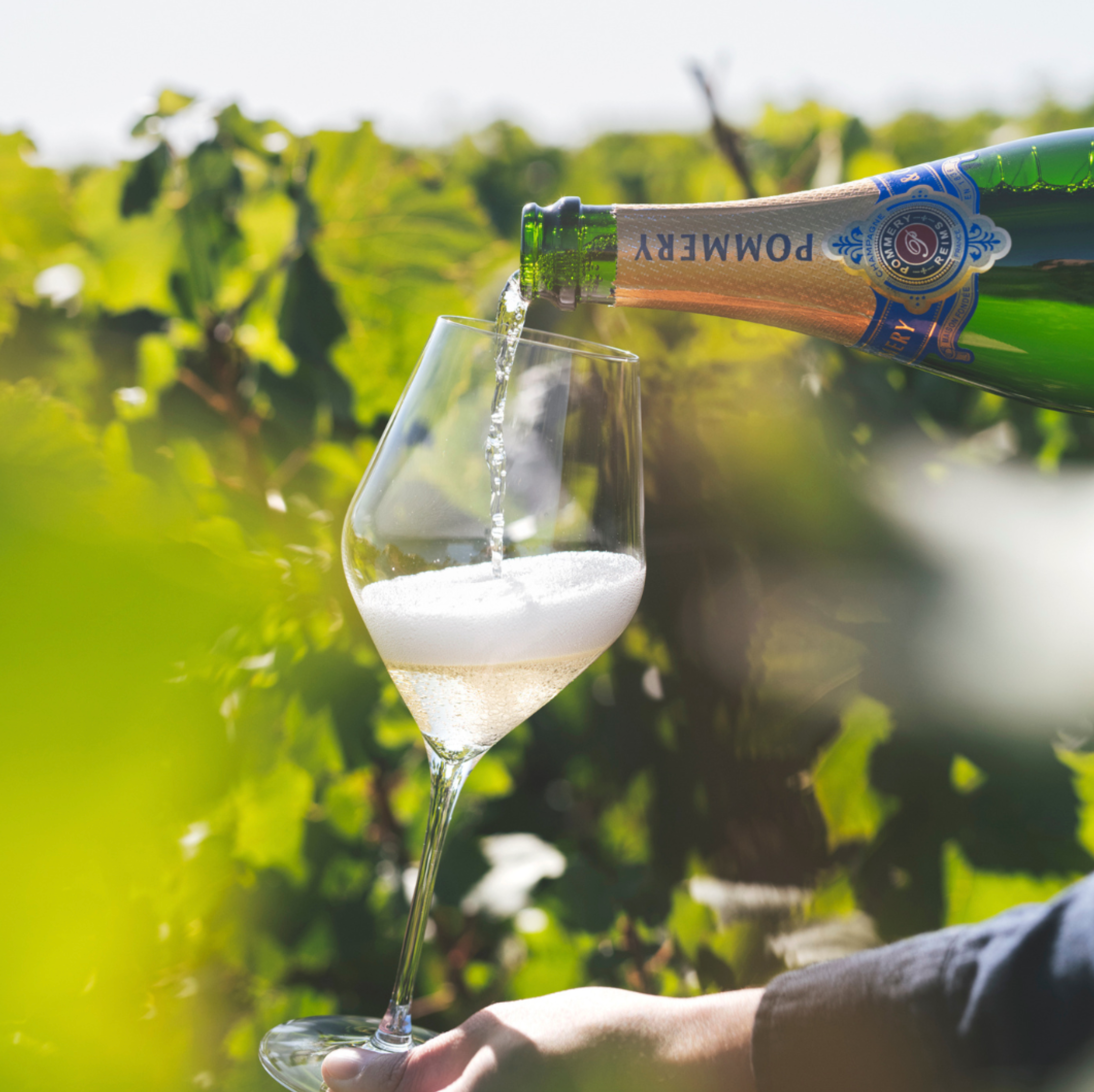 Pommery Brut Blanc De Blancs Champagne