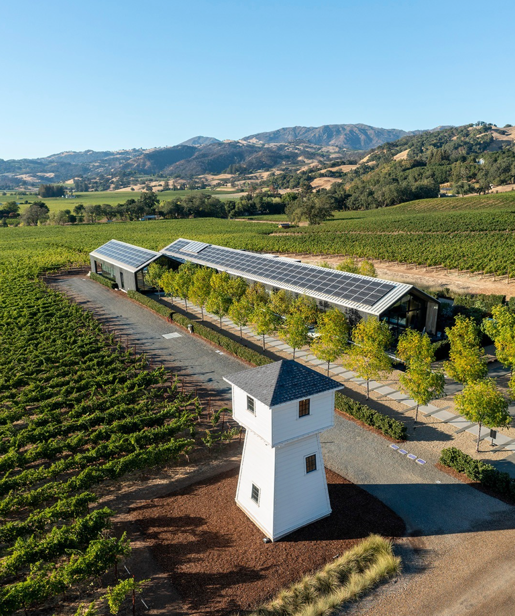 Silver Oak Alexander Valley Cabernet Sauvignon 2018