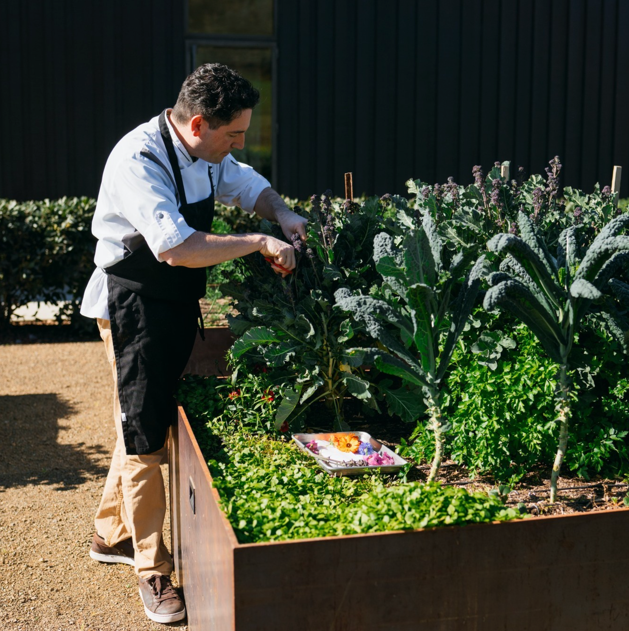 Silver Oak Alexander Valley Cabernet Sauvignon 2021